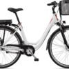 Telefunken E-Bike »RC657 Multitalent«