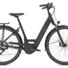 Diamant Mandara Deluxe+ - 500 Wh - 2022 - 28 Zoll - Tiefeinsteiger