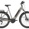 Gazelle Ultimate T10 HMB - 500 Wh - 2022 - 28 Zoll - Tiefeinsteiger