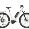 Diamant Zing+ Wave 2022 elektrisches Fahrrad