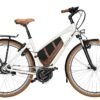 Riese und Müller Cruiser Mixte 2022
